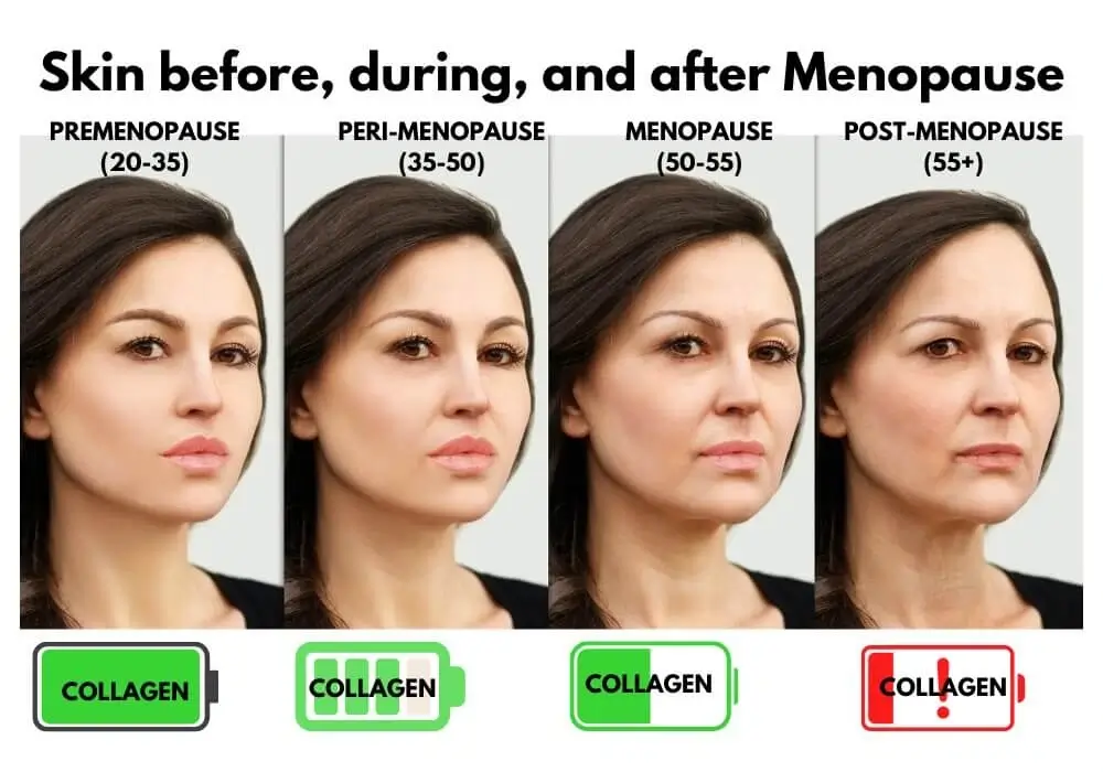 skin before and after menopause