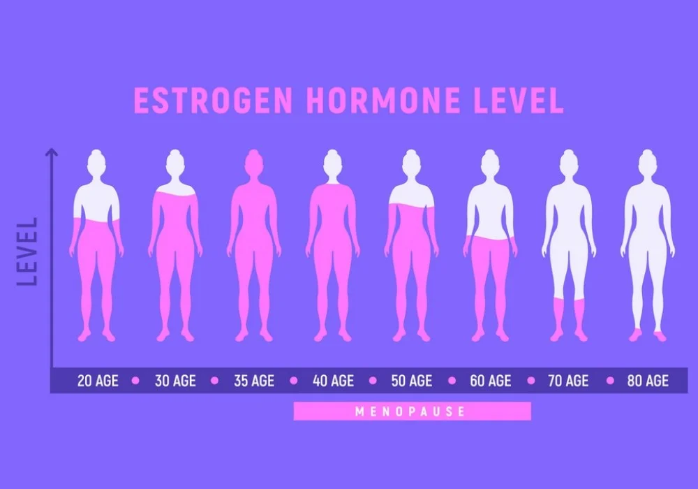 Menopause and Estrogen